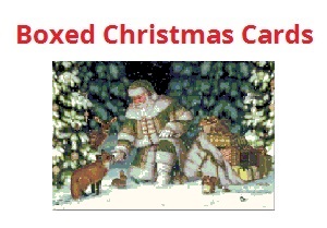 Boxed Santa Cards